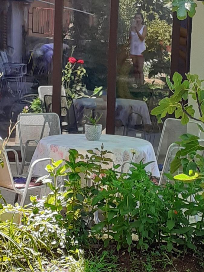 Apartment Helena Senj  Ngoại thất bức ảnh